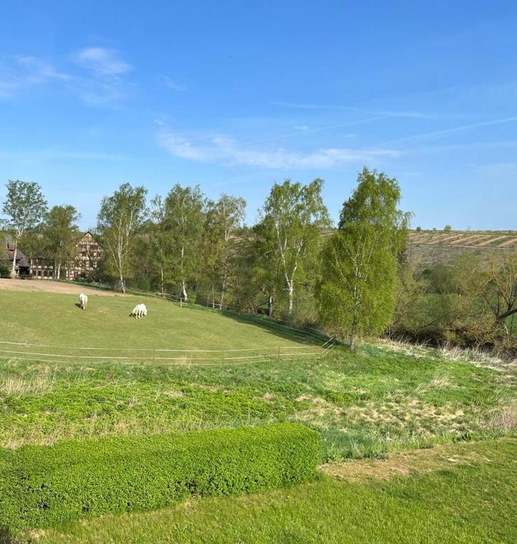 Js Feriendomizile Haus Sonnenschein Bettwaesche Handtuecher Inkl Hasselfelde Dış mekan fotoğraf